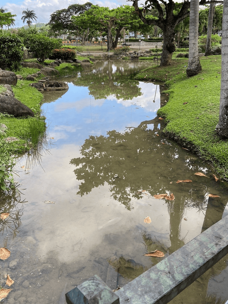 Clear pond reflecting trees and sky in a lush green park with rocks and grass.