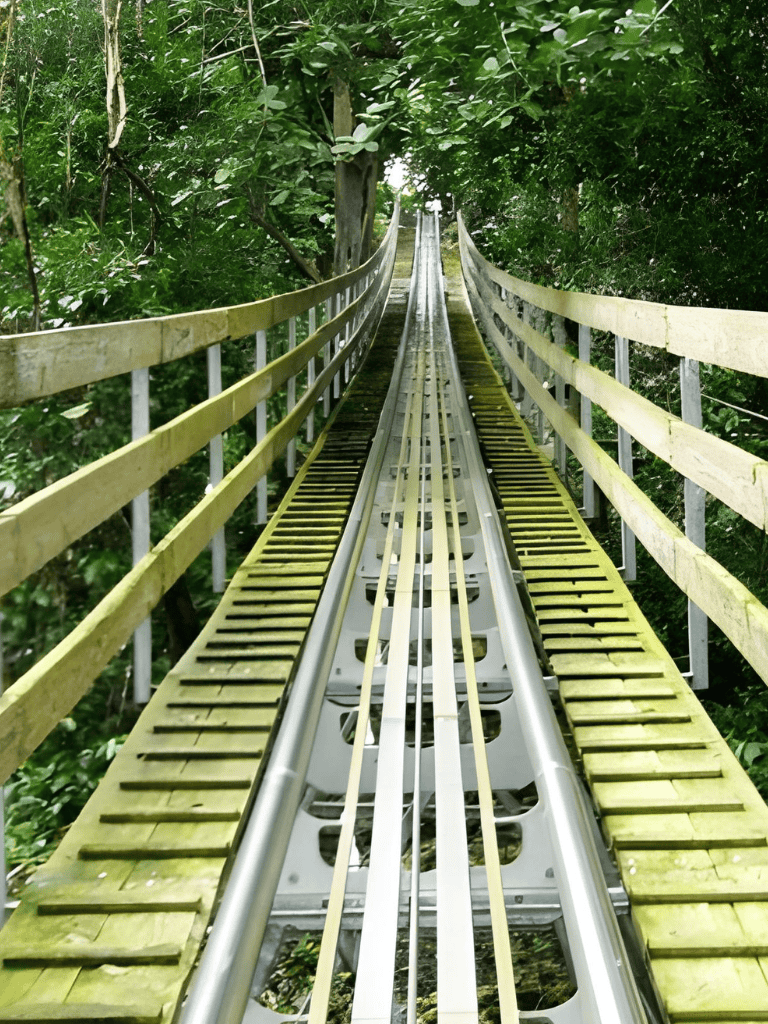 Thrilling zip line adventure through lush green forest canopy.