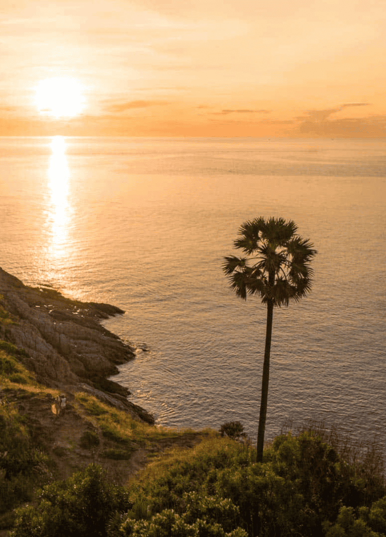 Sunset over ocean with palm tree on coastline, scenic coastal view, travel destination, QuestForDirections featured image.