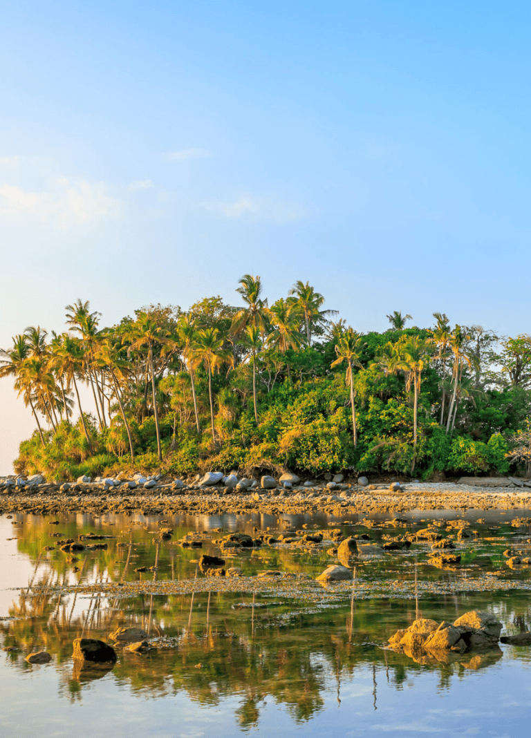 Lush tropical island with palm trees and rocky shoreline reflected in calm water.
