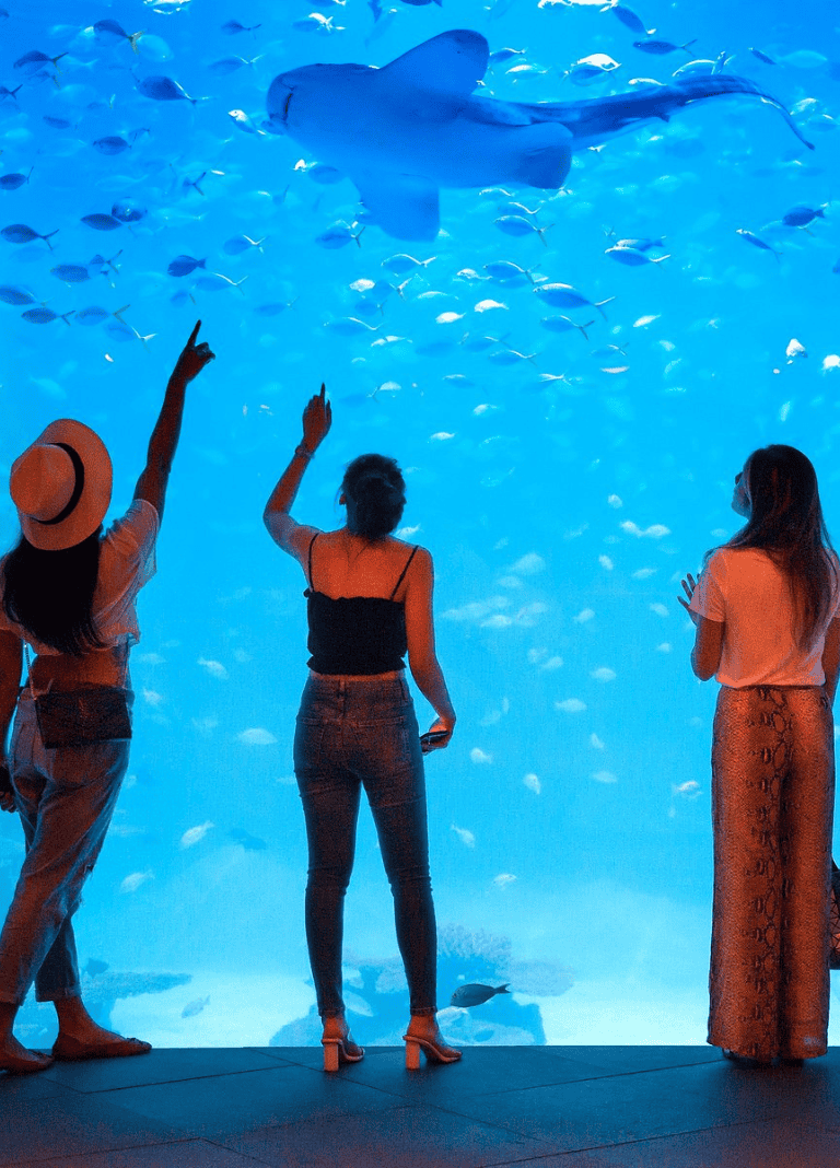 Colorful aquarium with visitors observing aquatic life.