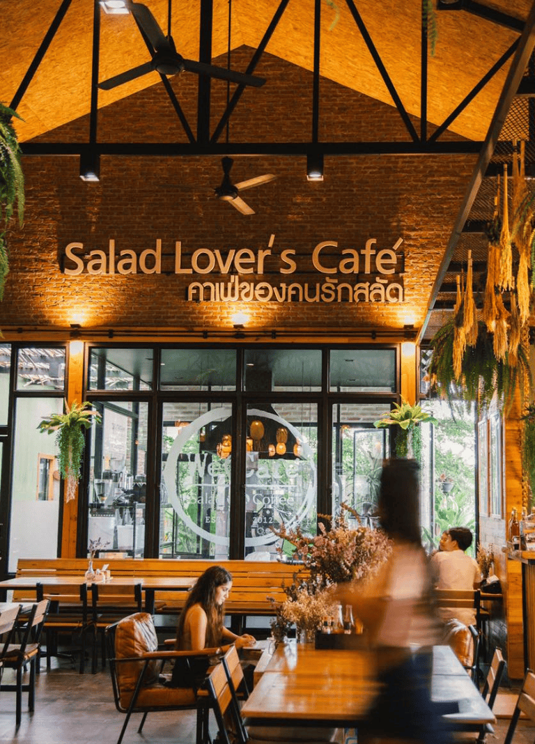 Cozy Salad Lover's Café interior with greenery and warm lighting, ideal for healthy dining and socializing.