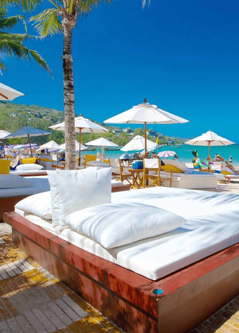 Palm tree with beach lounge chairs and umbrellas at a sunny seaside resort.