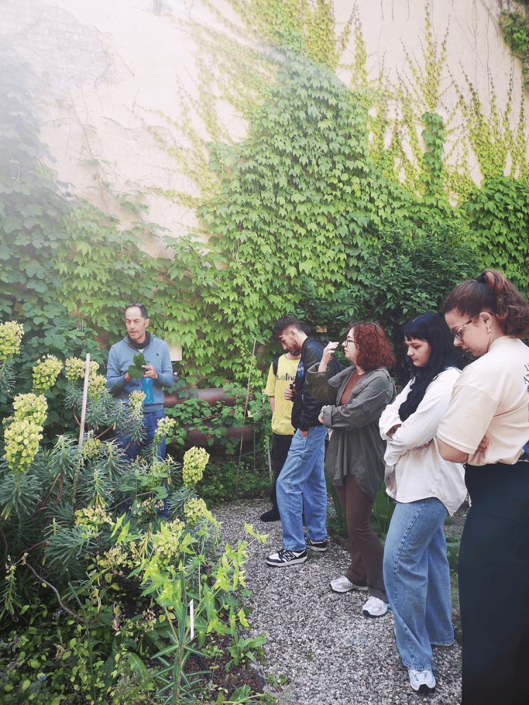 Green ivy-covered wall with a group of people listening to a plant expert in a lush garden.