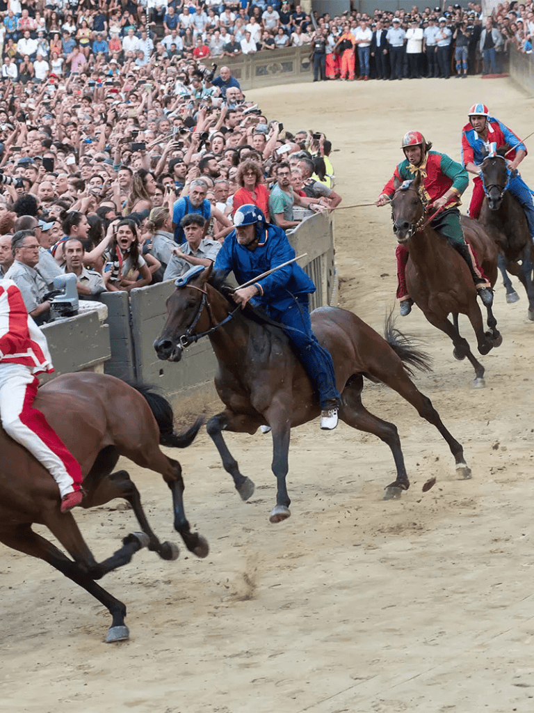 Exciting horse race with jockeys and a large cheering crowd at QuestForDirections event.