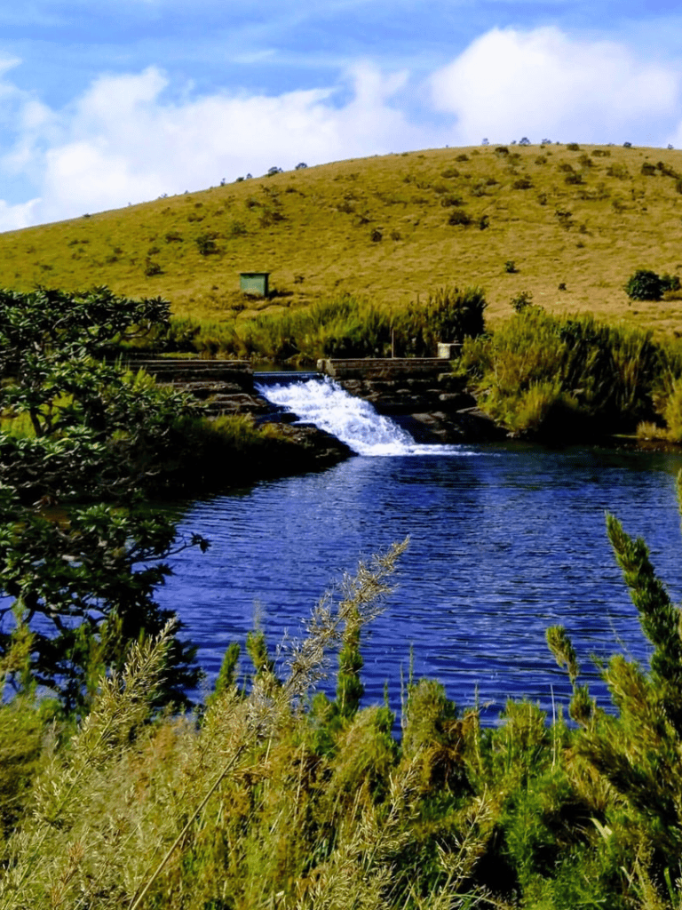 Scenic river flowing near grassy hillside with lush greenery and blue sky, ideal for outdoor exploration and nature travel.