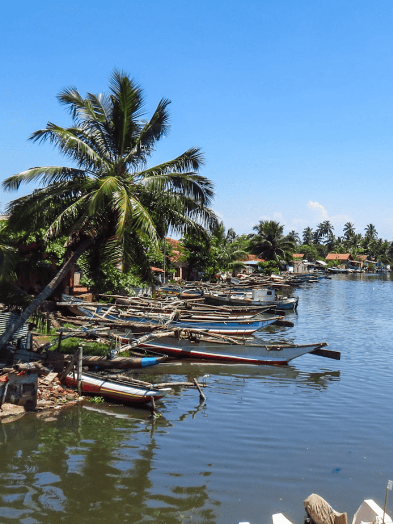 Tropical river with palm trees and boats, scenic waterfront view, coastal village landscape, adventure travel destination.