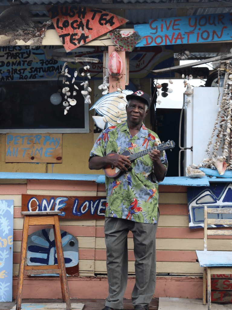 Native musician playing ukulele at a colorful seaside market with seashell decor and signs for donations and local events.