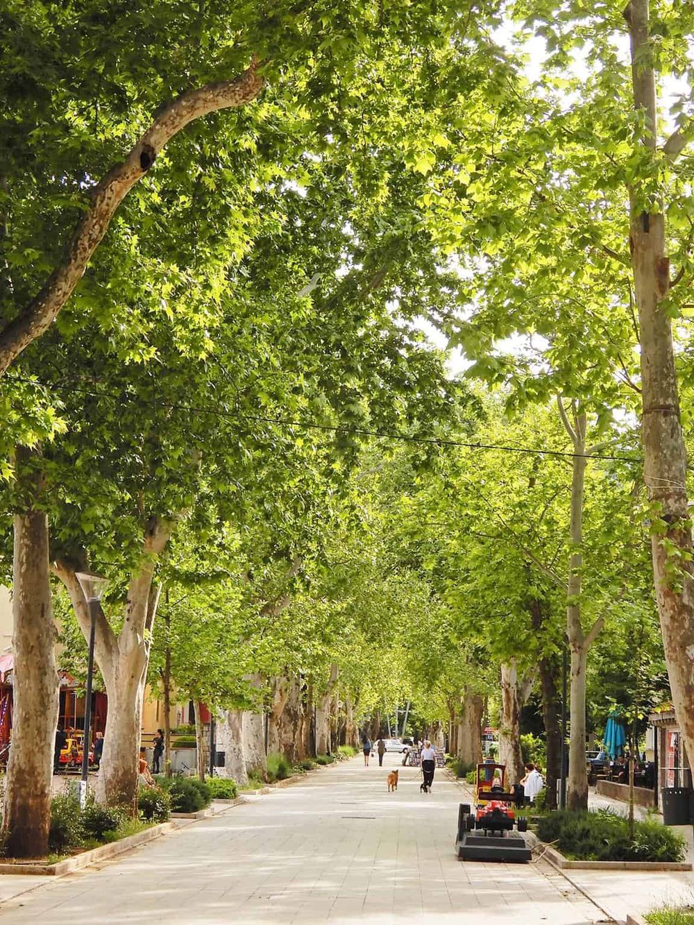 Lush green tree-lined pedestrian street with benches, shops, and people enjoying outdoor space.