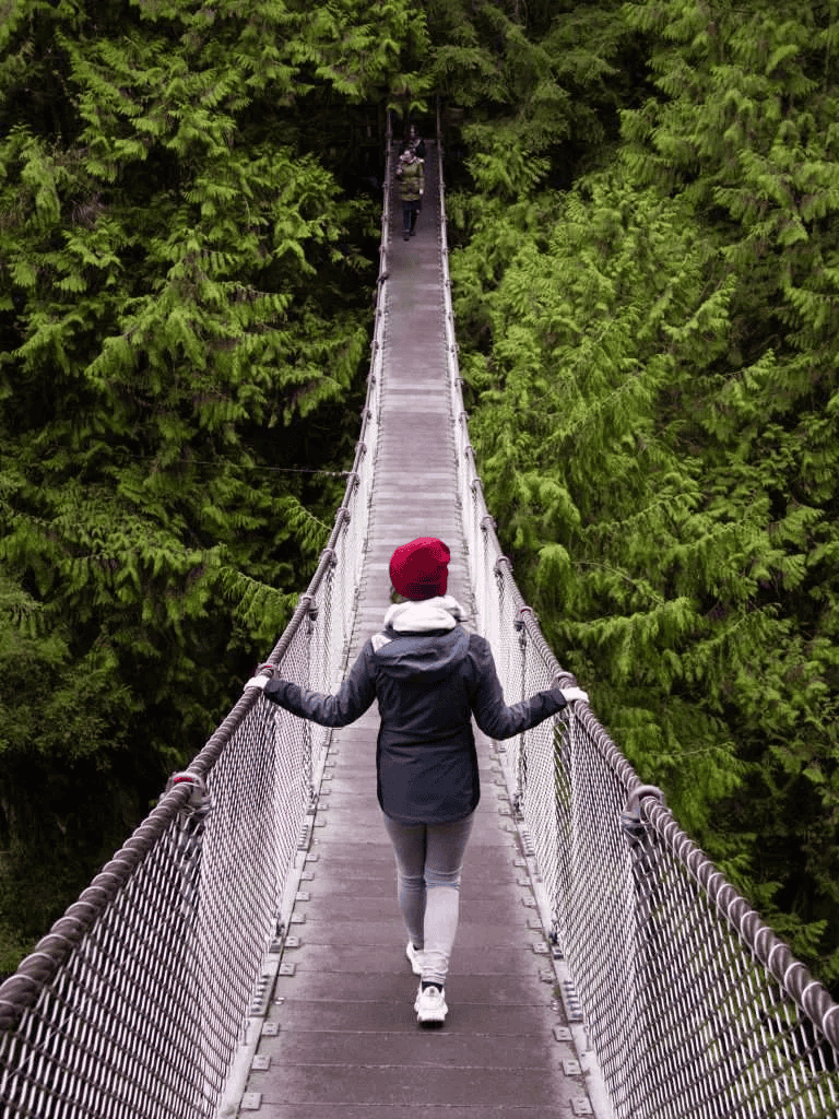 Suspenseful view of a person walking on a narrow suspension bridge through dense green forest.
