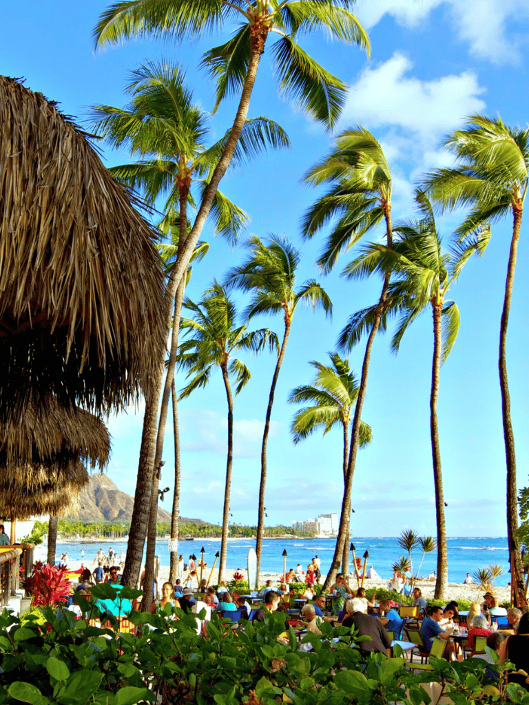 Relaxing beach scene with palm trees, turquoise ocean, and outdoor dining, ideal for travel and vacation SEO keywords.