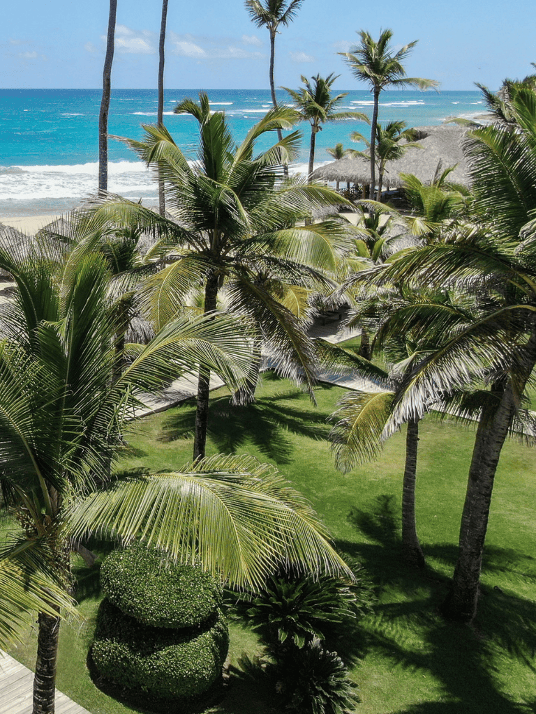 Tropical beach scene with palm trees, ocean waves, and lush greenery, perfect for vacation planning.