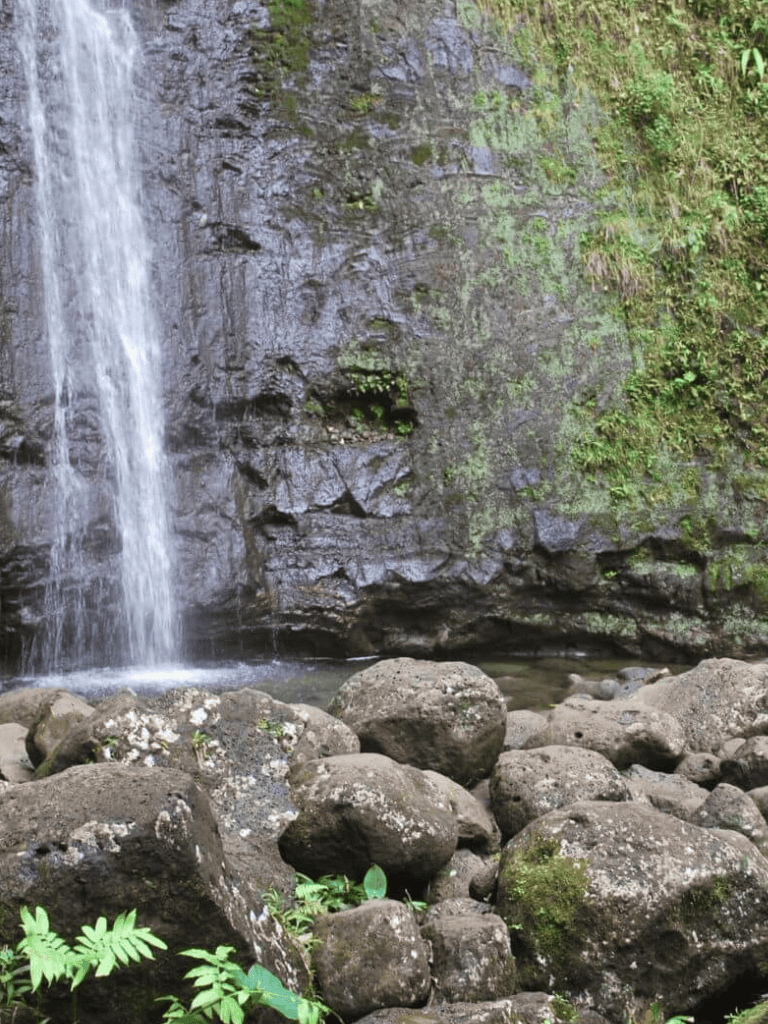 Waterfall with moss-covered rocks in lush forest scenery.