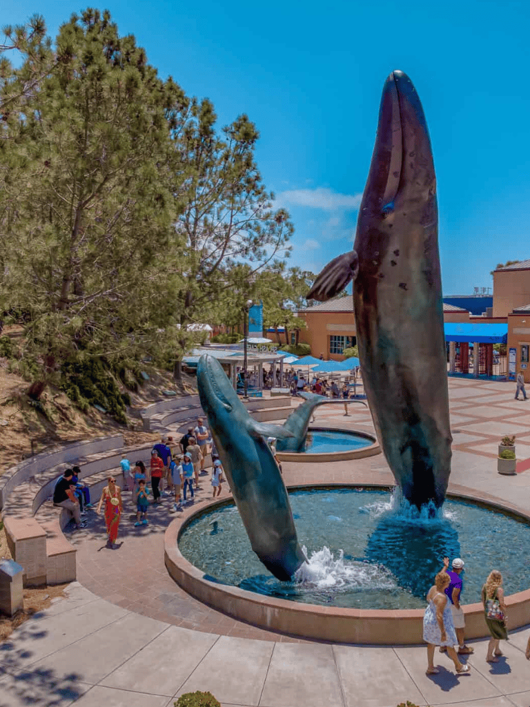 Large whale dolphin fountain in outdoor shopping and entertainment area, family-friendly destination, scenic urban setting.