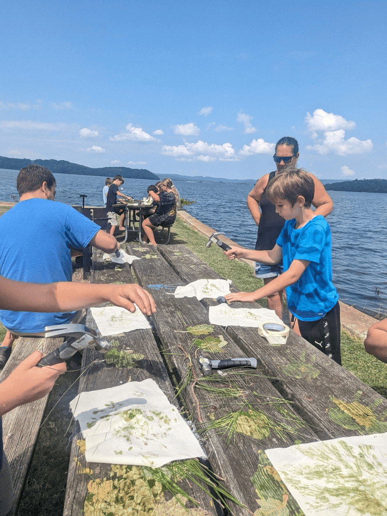Exploring plant presses at lakeside for educational nature study and outdoor adventure.