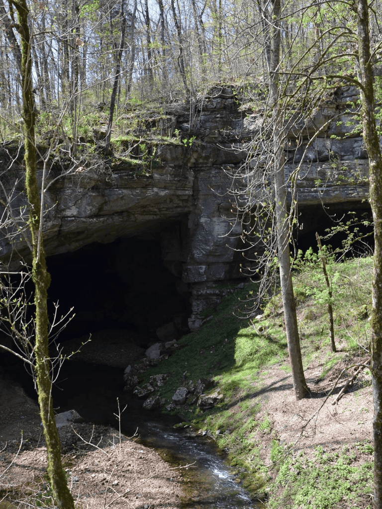 Dark cave entrance surrounded by trees and greenery, scenic outdoor landscape.