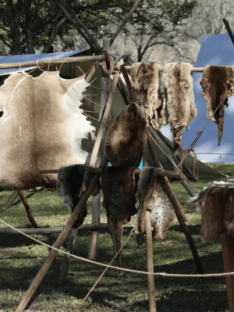 Animal hides drying on a wooden frame at a traditional outdoor shelter.