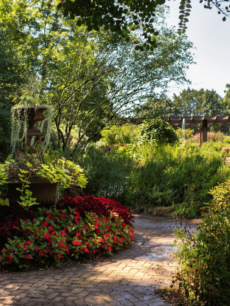 Lush garden pathway with greenery and vibrant red flowers, ideal for outdoor exploration and relaxation.