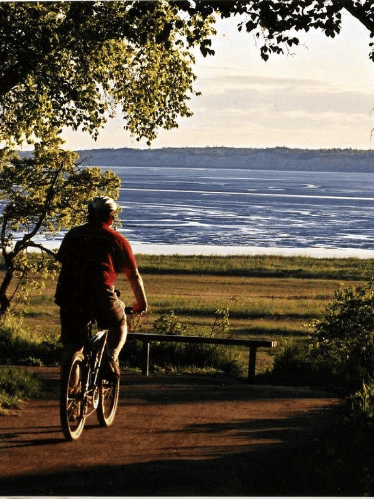 Serene lakeside biking path with a person riding a bicycle in nature, promoting outdoor activities and adventure travel.