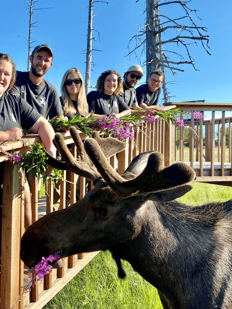 Moose receiving flowers from group of smiling people outdoors on sunny day.