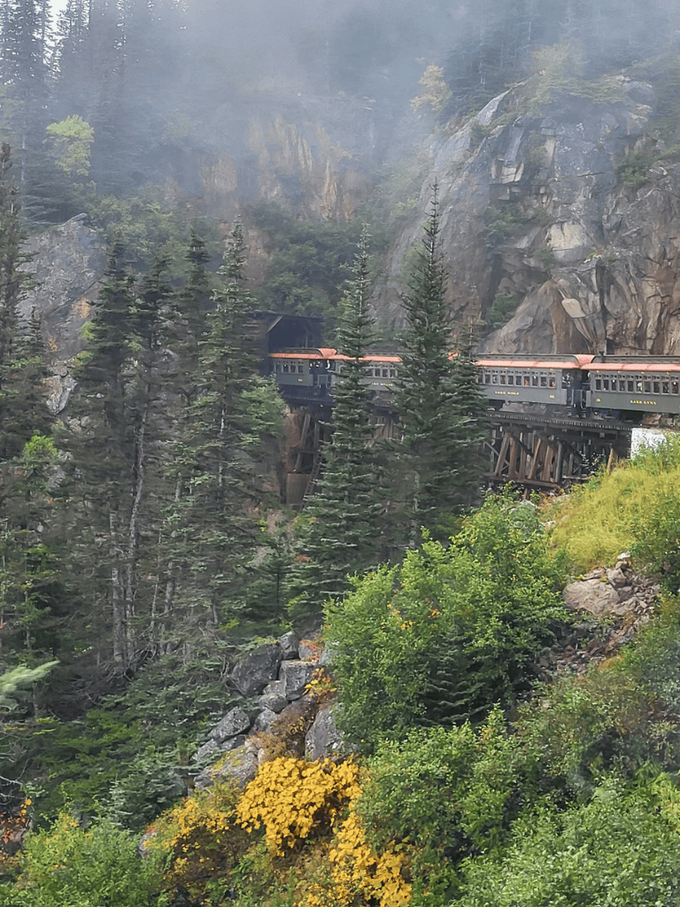 Vail Scenic Train through Rocky Mountain Forest with tall pine trees and mountain cliffs.