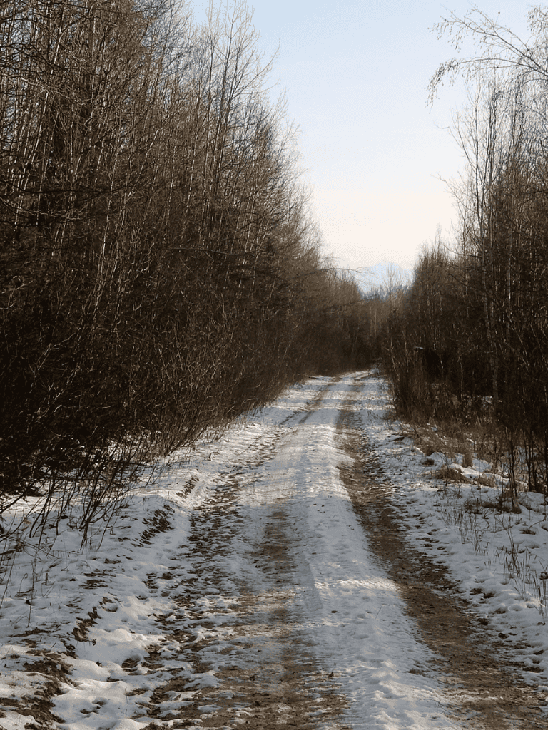 Snow-covered dirt trail through leafless trees in winter, scenic outdoor pathway.