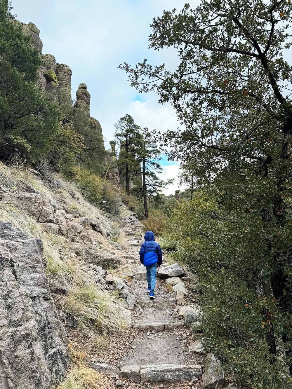 Scenic mountain trail with hiker in blue jacket surrounded by trees and rock formations.