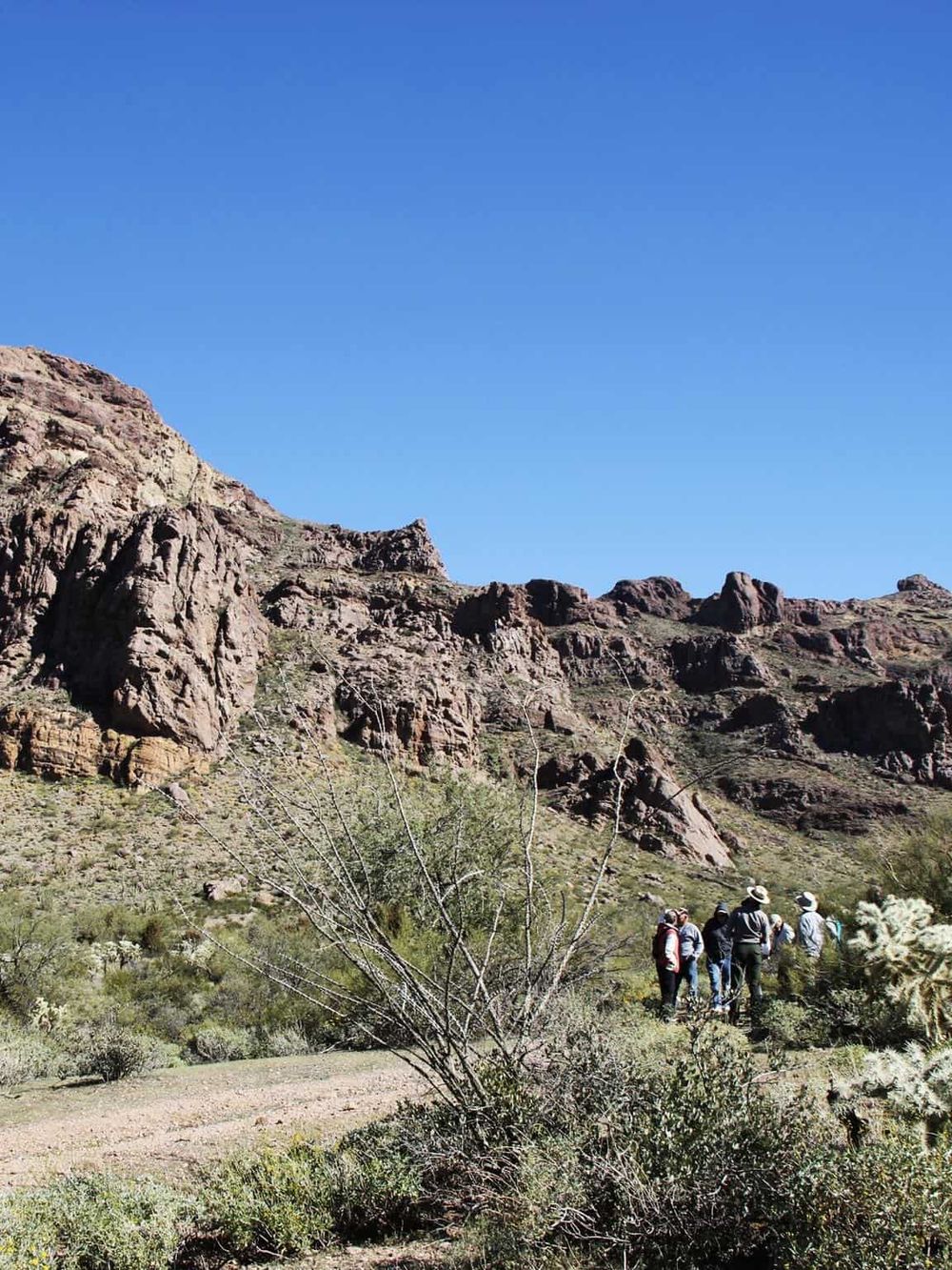 Hiking group exploring desert landscape with rocky mountains and clear blue sky, guided outdoor adventure.