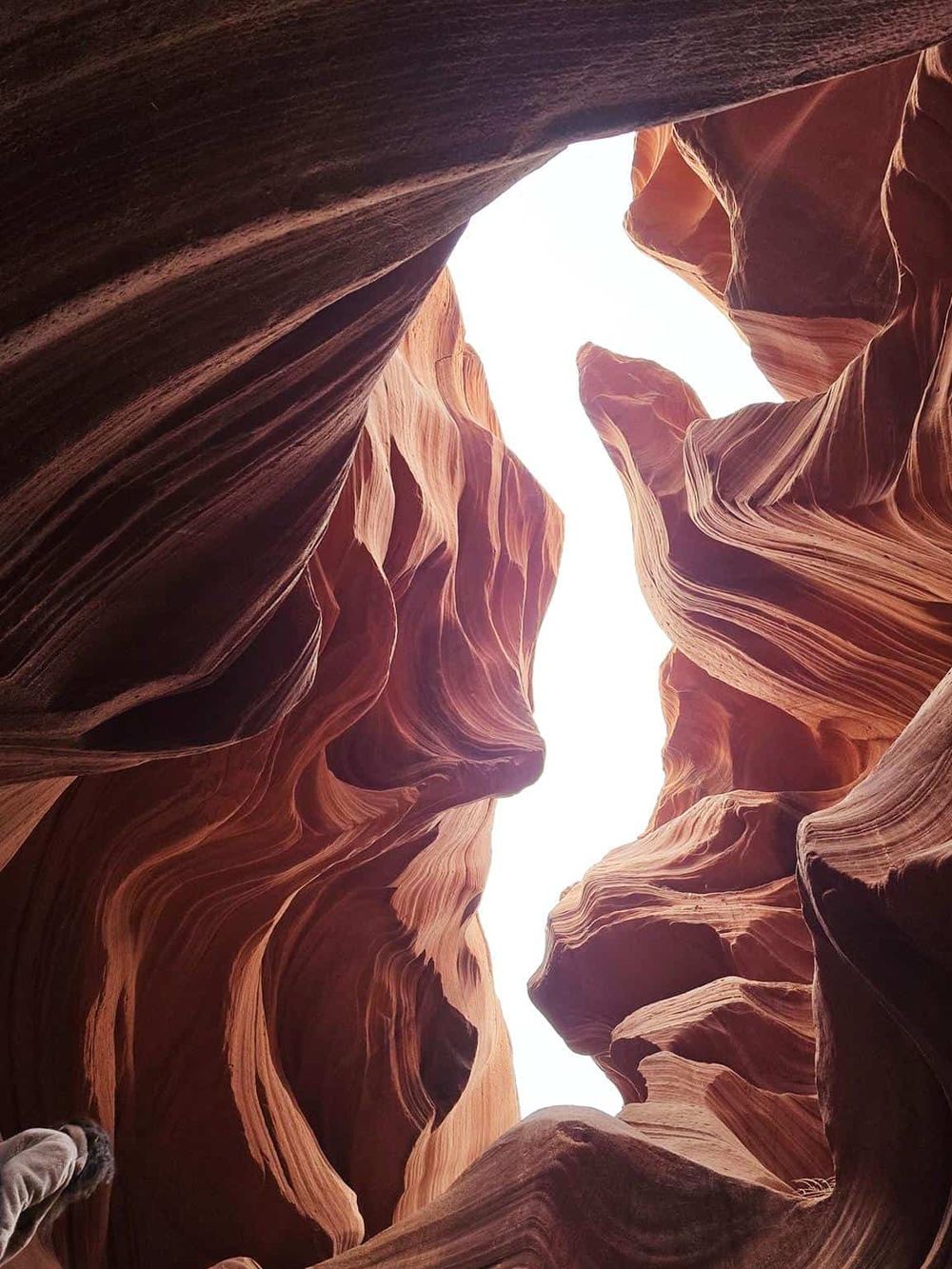 Stunning view of Antelope Canyon's narrow, winding sandstone walls with a glimpse of sky above.