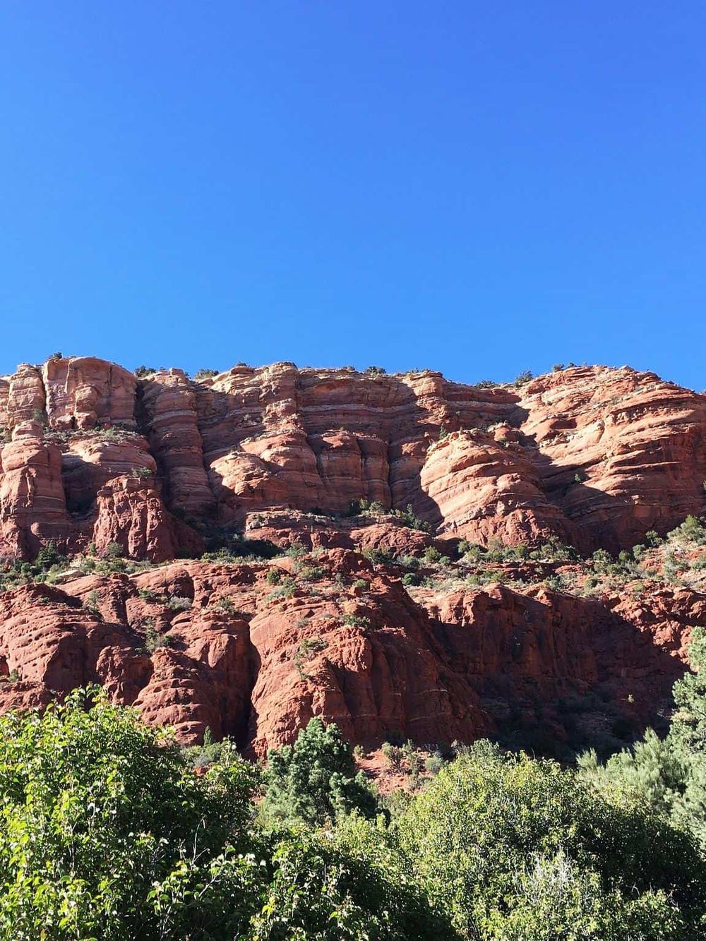 Vivid red sandstone cliffs under a clear blue sky with lush green foliage at the base.