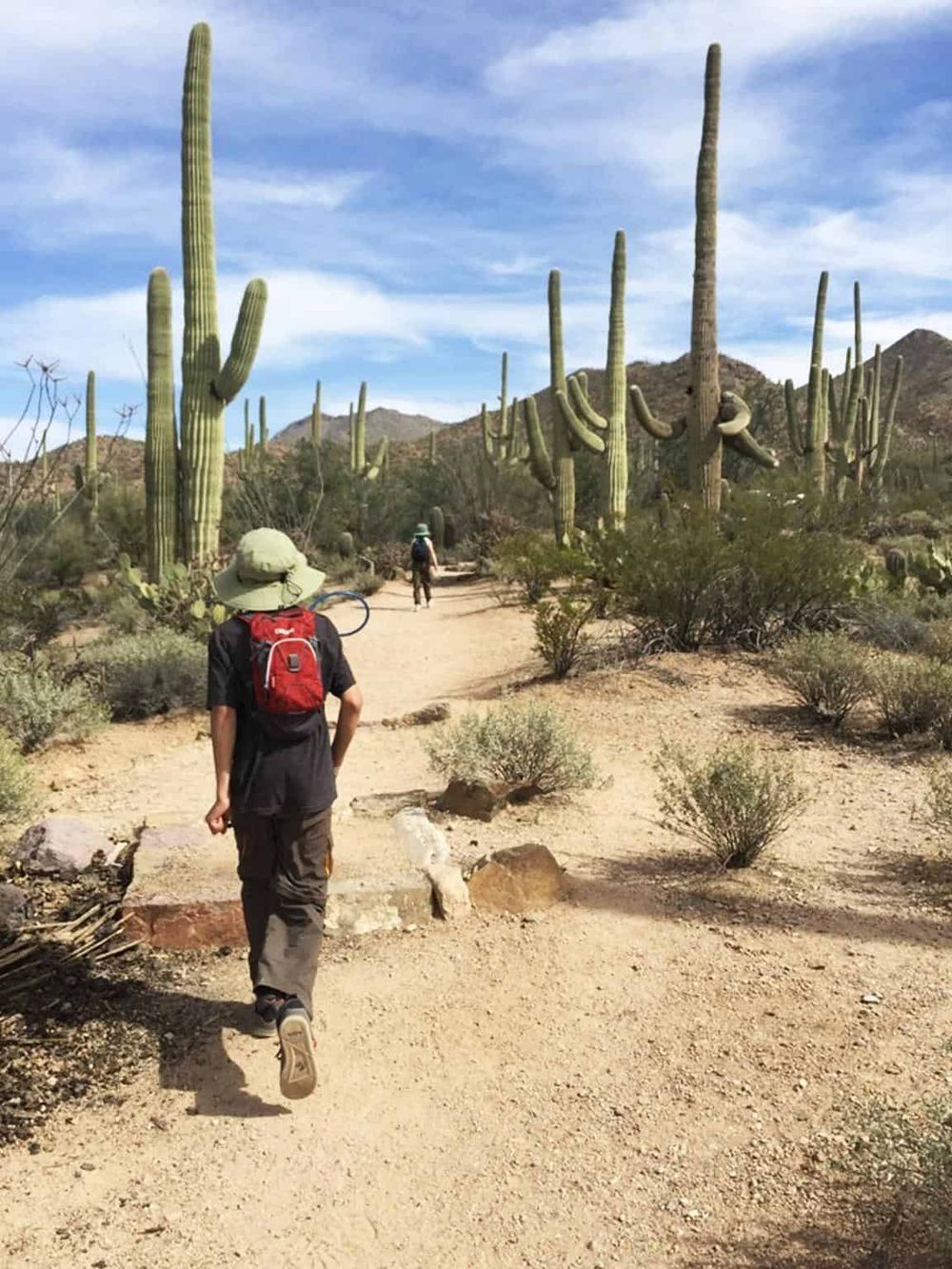 Cactus desert landscape with hikers, Arizona trail, adventure travel, outdoor exploration, QuestForDirections.