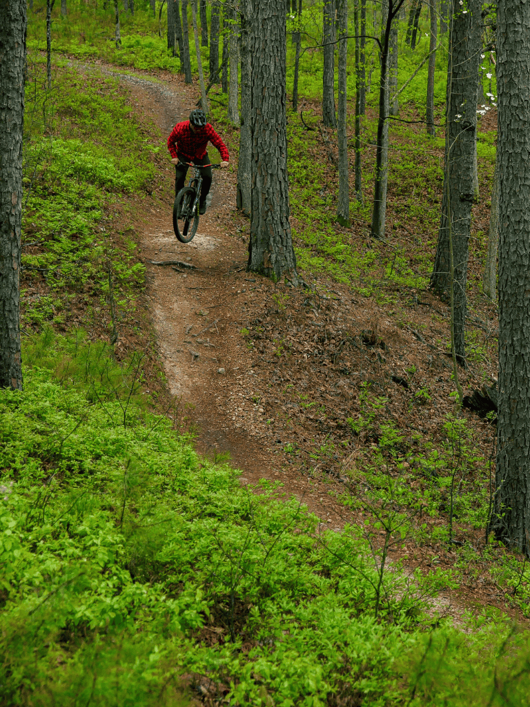 Vibrant outdoor mountain biking trail in lush green forest with a cyclist jumping over an obstacle.