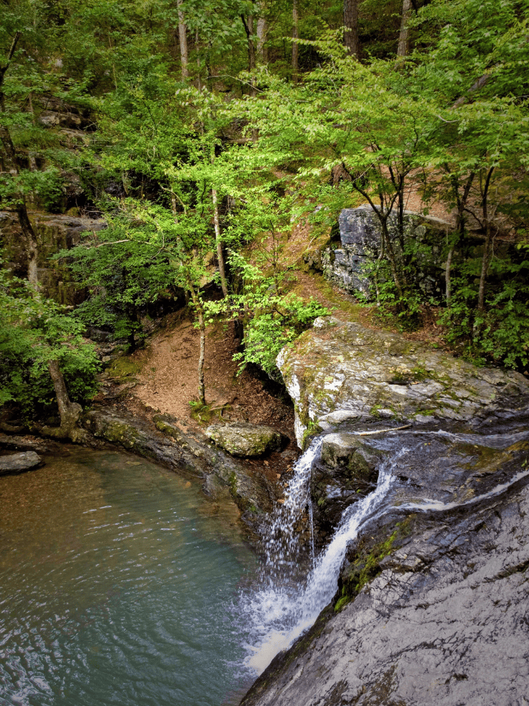 Serene forest waterfall cascading into a clear pool, surrounded by lush green trees and rocks.