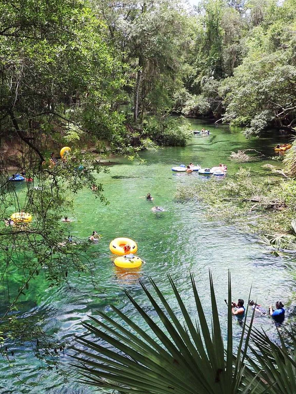 Floating river tubing adventure in lush green forest with visitors enjoying water activities.