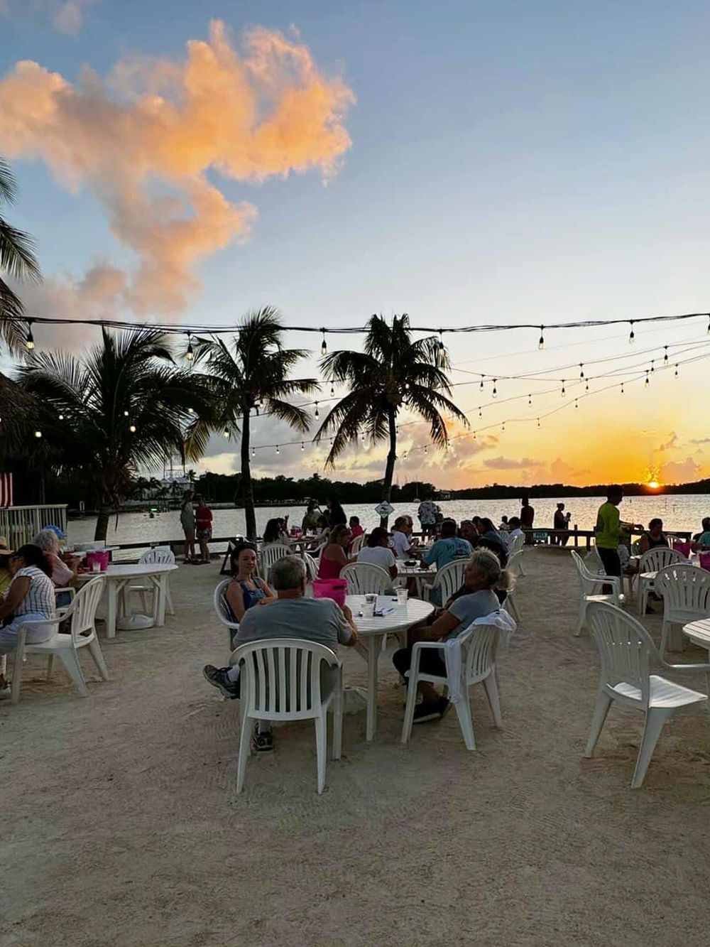 Sunset beachside dining with palm trees and string lights at QuestForDirections.