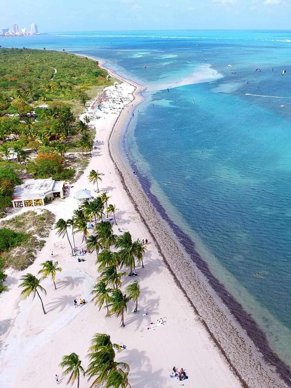 Aerial view of a tropical beach with palm trees, clear blue water, and coastline, perfect for travel and leisure.