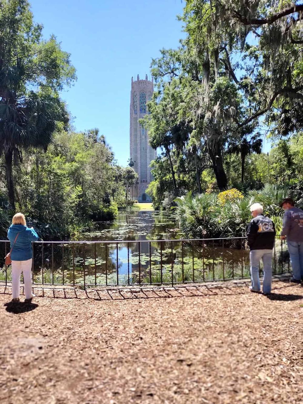 Cinderella Castle at Disney World surrounded by lush greenery and visitors enjoying the scenic view.