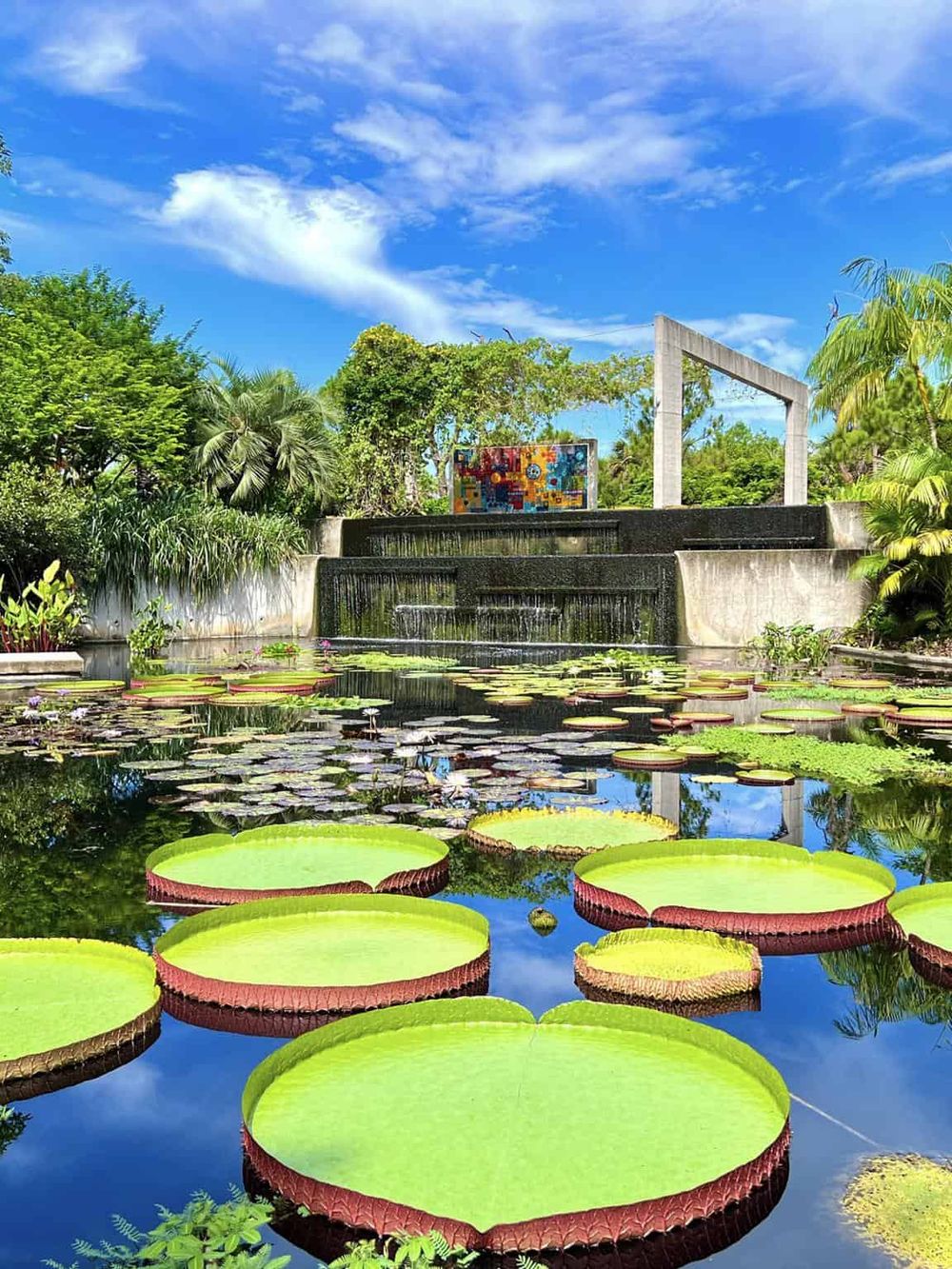 Vibrant garden with water lilies and modern design, ideal for peaceful outdoor spaces and botanical exploration.