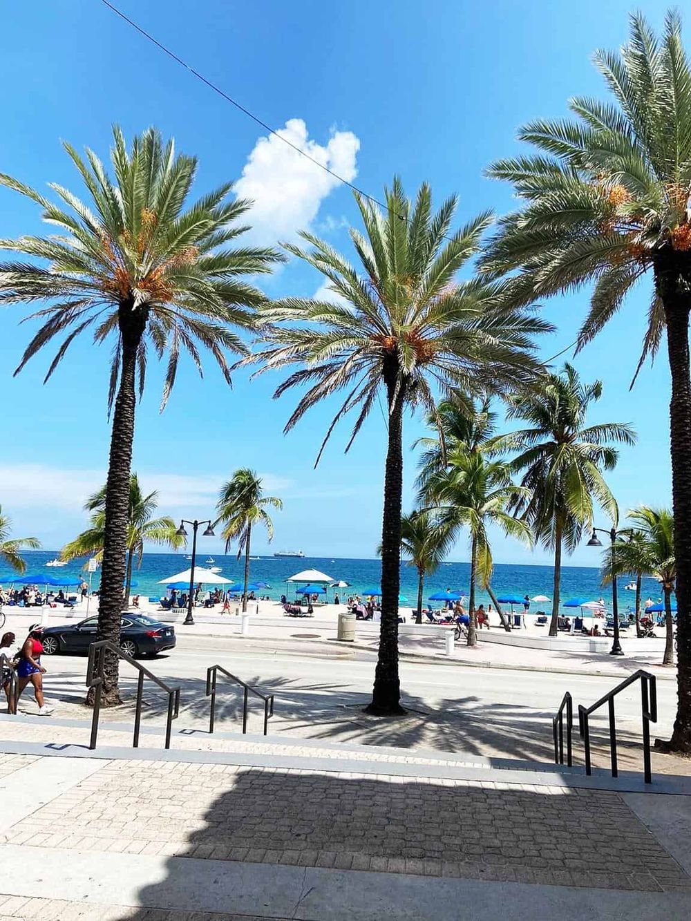 Tropical beach scene with palm trees, ocean, and clear blue sky, perfect for travel and vacation.