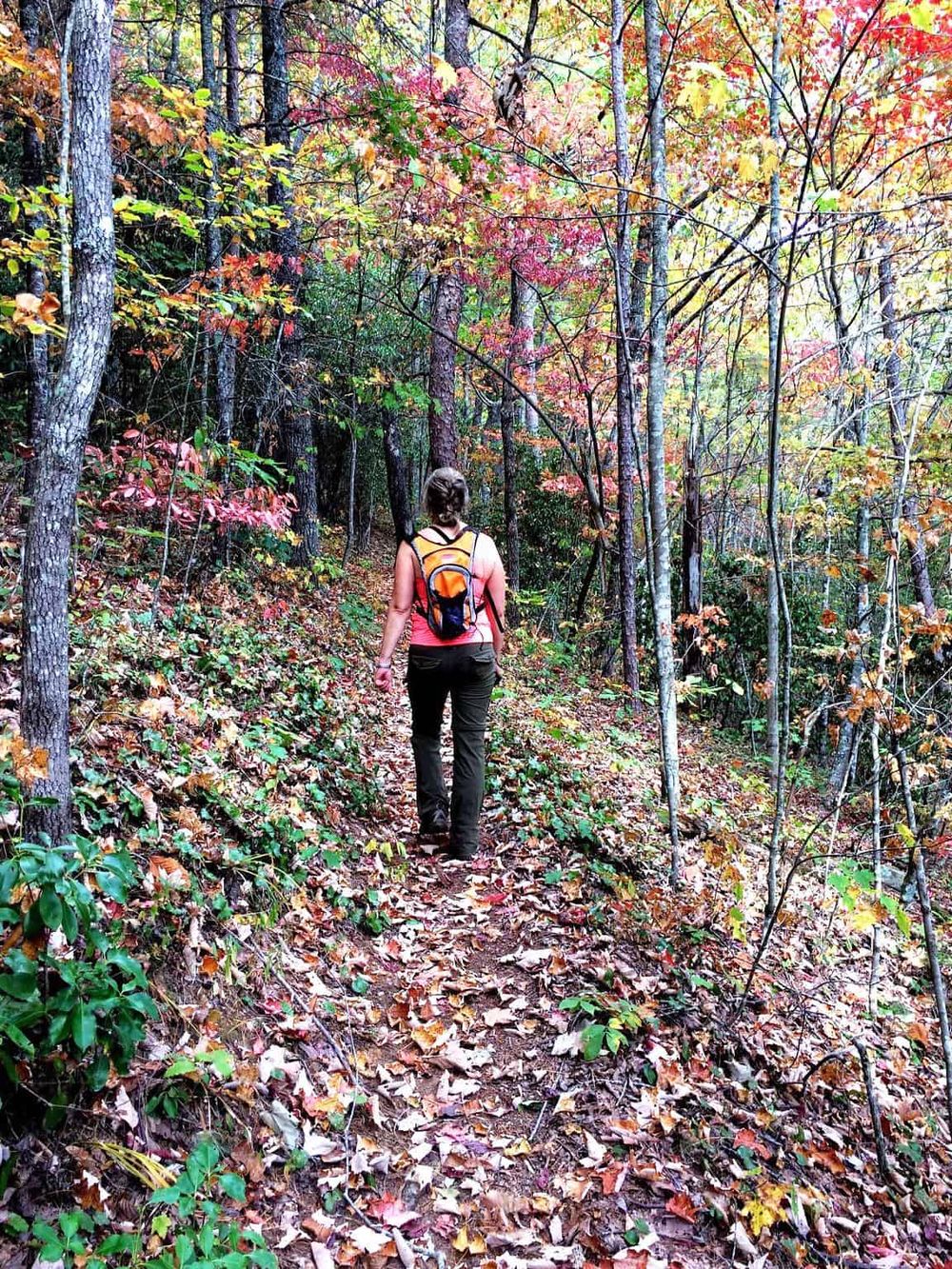 Hiking trail in autumn forest with a woman walking among colorful fall foliage, nature, outdoor adventure, and trail exploration.