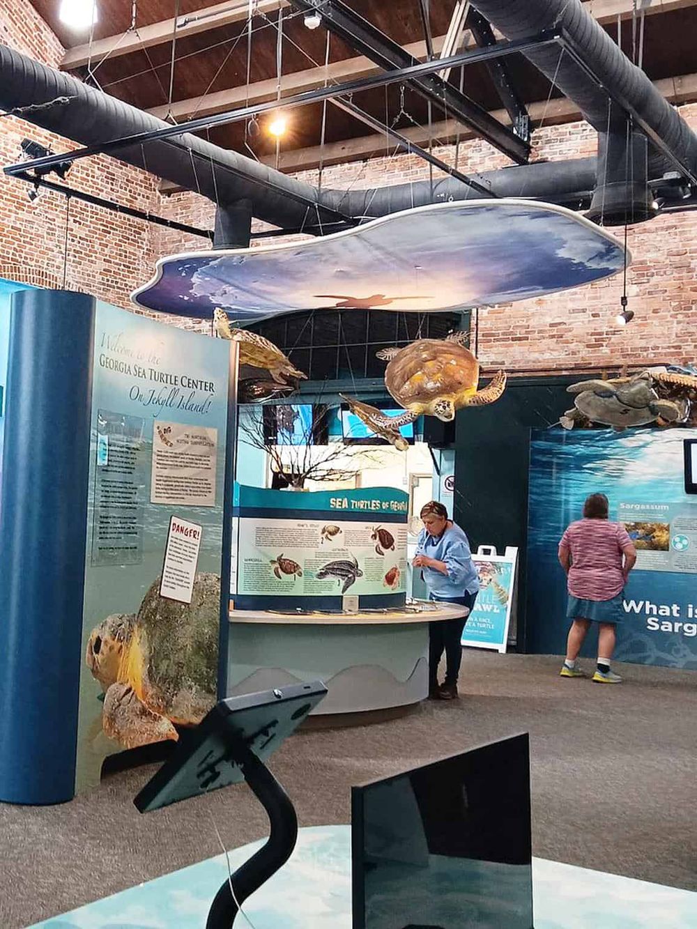 Colorful sea turtle exhibit at Georgia Sea Turtle Center on Jekyll Island, indoors with educational displays.