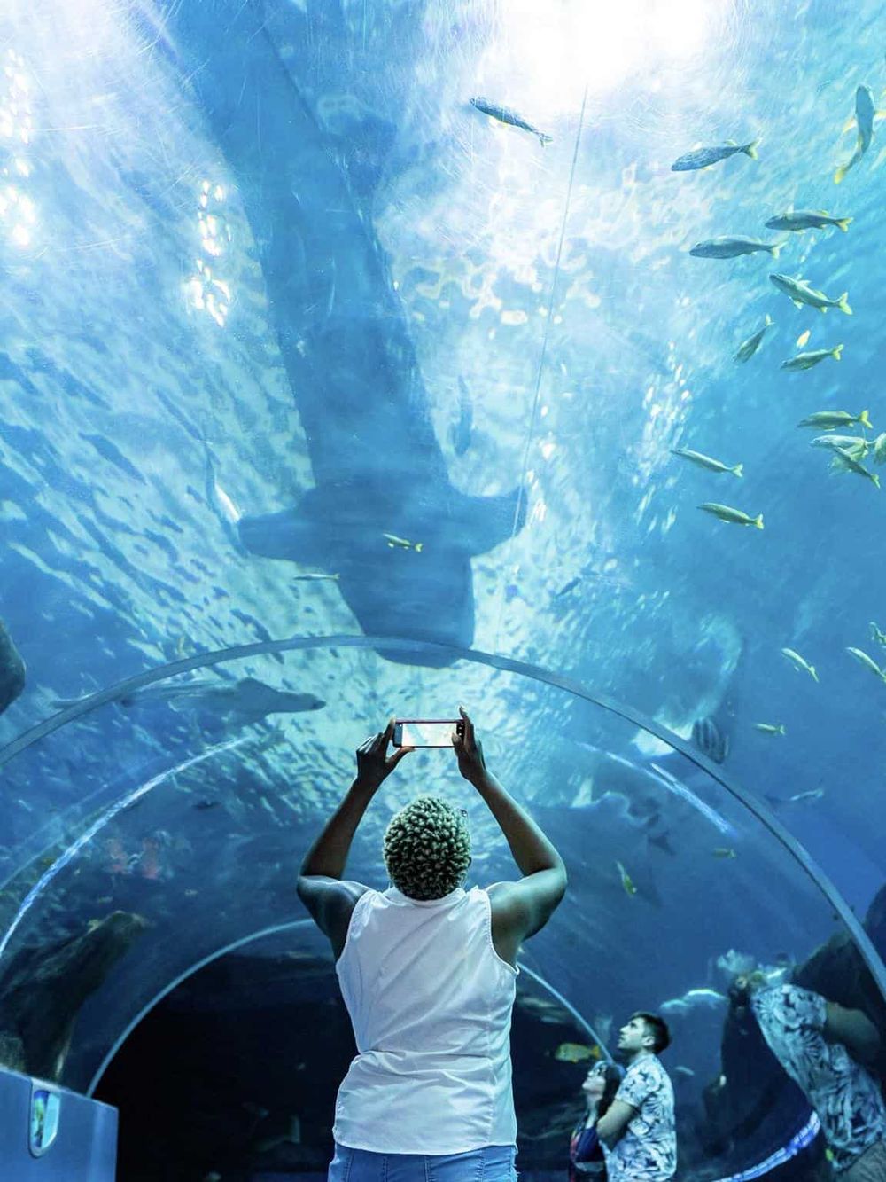 Colorful underwater sea life exhibit at QuestForDirections aquarium with visitors observing marine animals.
