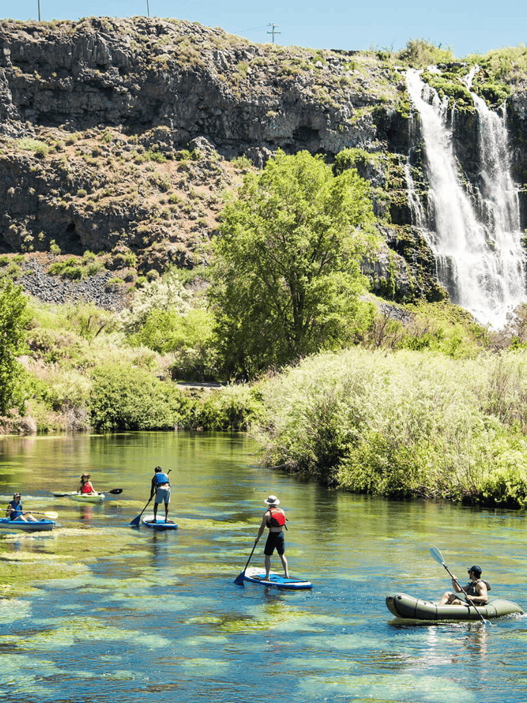 Colorful stand-up paddleboarders on clear river with lush greenery and waterfalls in background.
