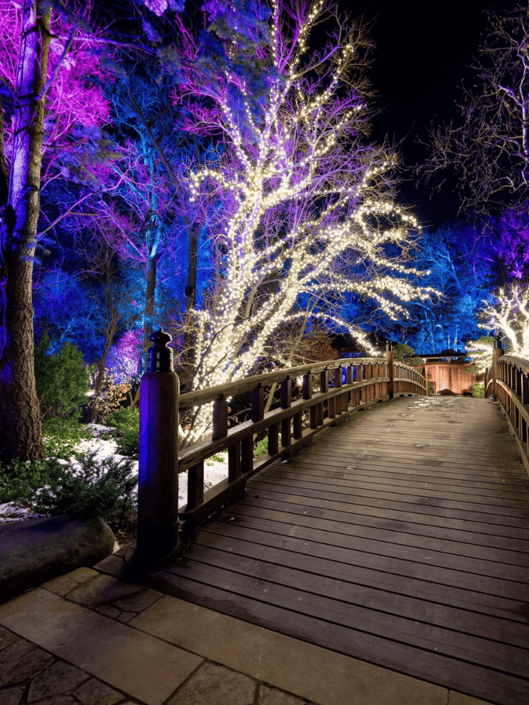 Brightly lit trees with colorful lights illuminate a wooden bridge at night, creating a magical outdoor scene.