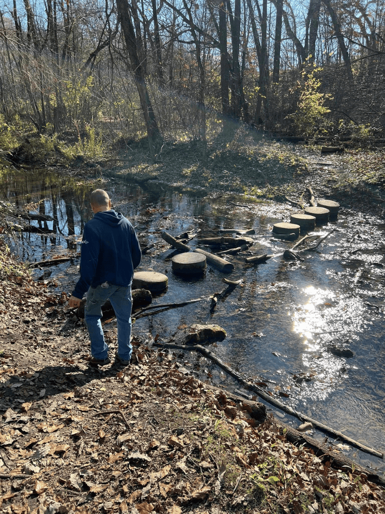 Stepping stones across a creek in a wooded area during daytime.