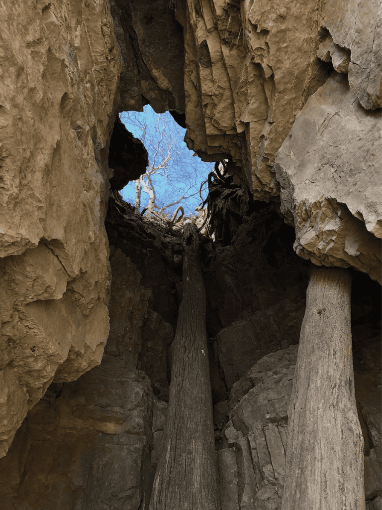 Rooty cliff formation with blue sky in the background, illustrating nature's geological features.