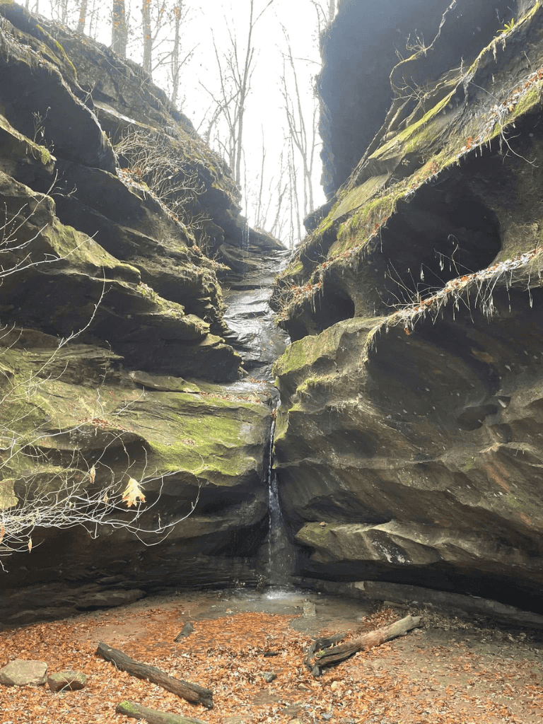Majestic waterfall cascading between moss-covered rock formations in a scenic forest.