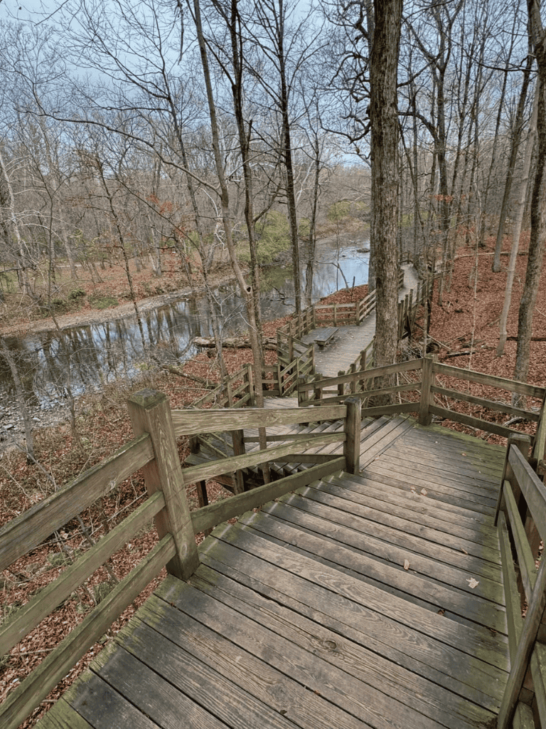 Wooden hiking trail with stairs through a wooded area near a river.