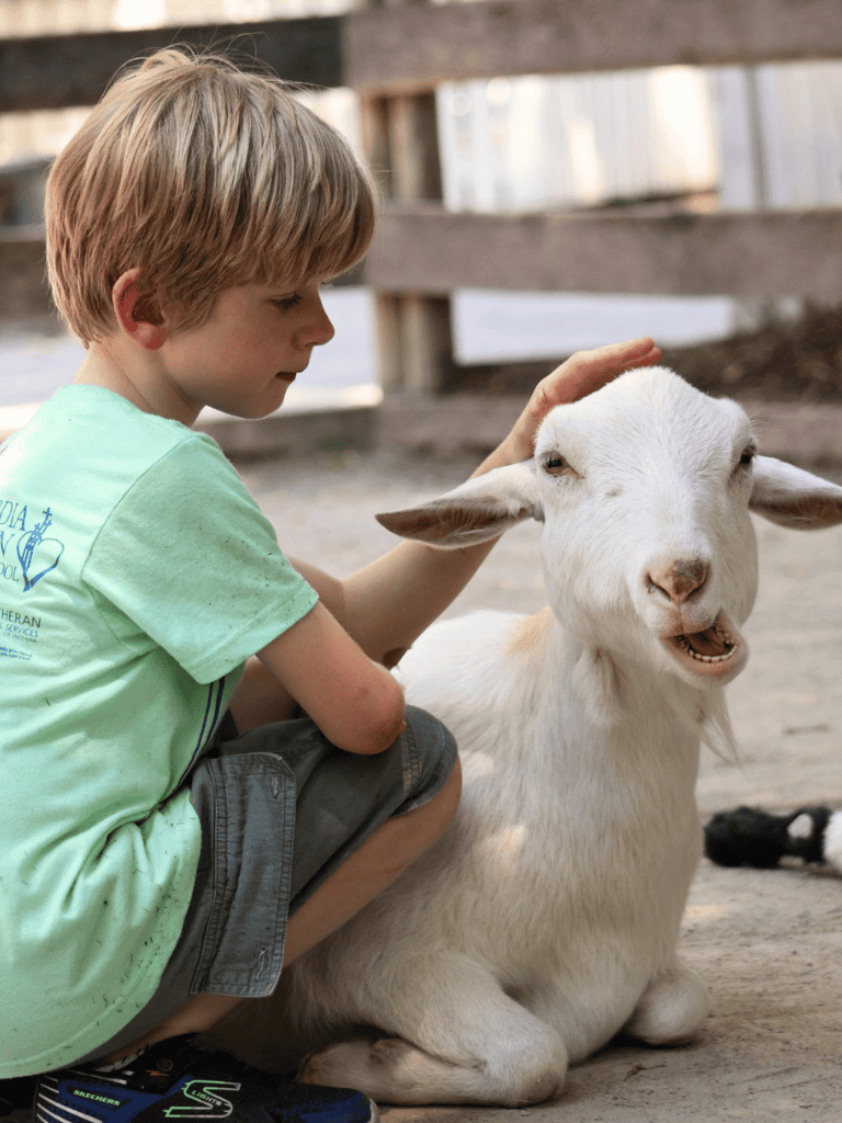 Playful kid petting a white goat at farm sanctuary for family farm fun activities.