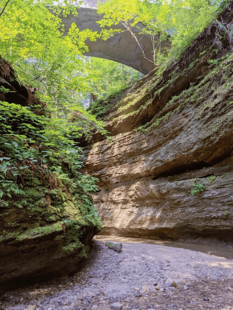 Lush green canyon with a hiking trail and stone bridge overhead, adventure and nature exploration in the mountains.